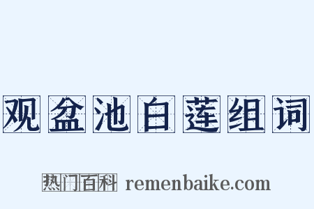 观盆池白莲组词是什么意思的图片